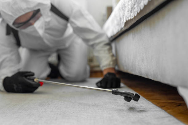 Professional Bed Bug Control technician working in Greenville, SC