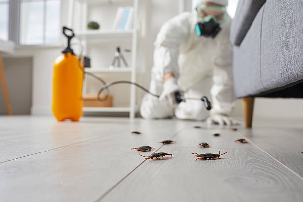 Trusted Cockroach Control service in Greenville, SC - Nex Pest Control
