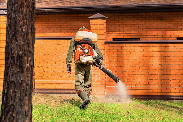 Trusted Rodent Control service in Greenville, SC - Nex Pest Control